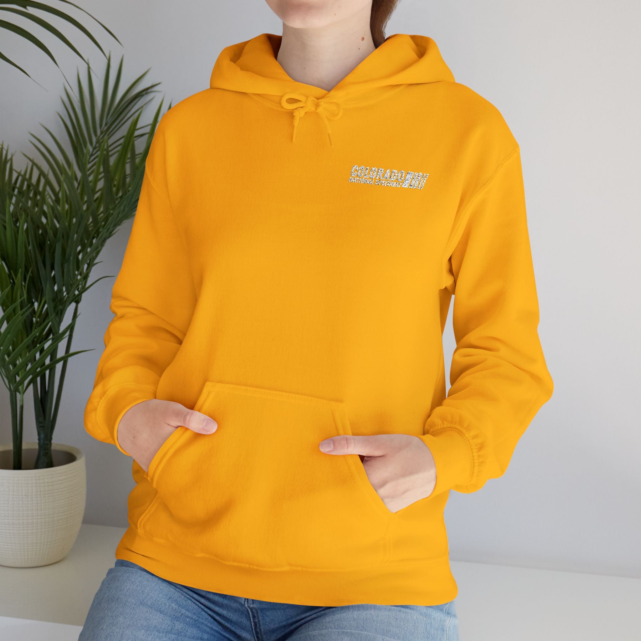 Embroidered Hoodie Unisex | Colorado National Speedway
