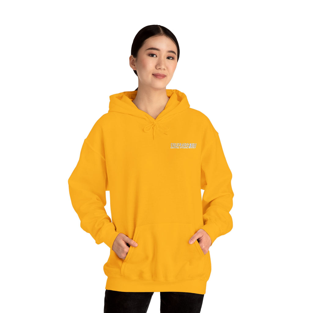 Embroidered Hoodie Unisex | Colorado National Speedway