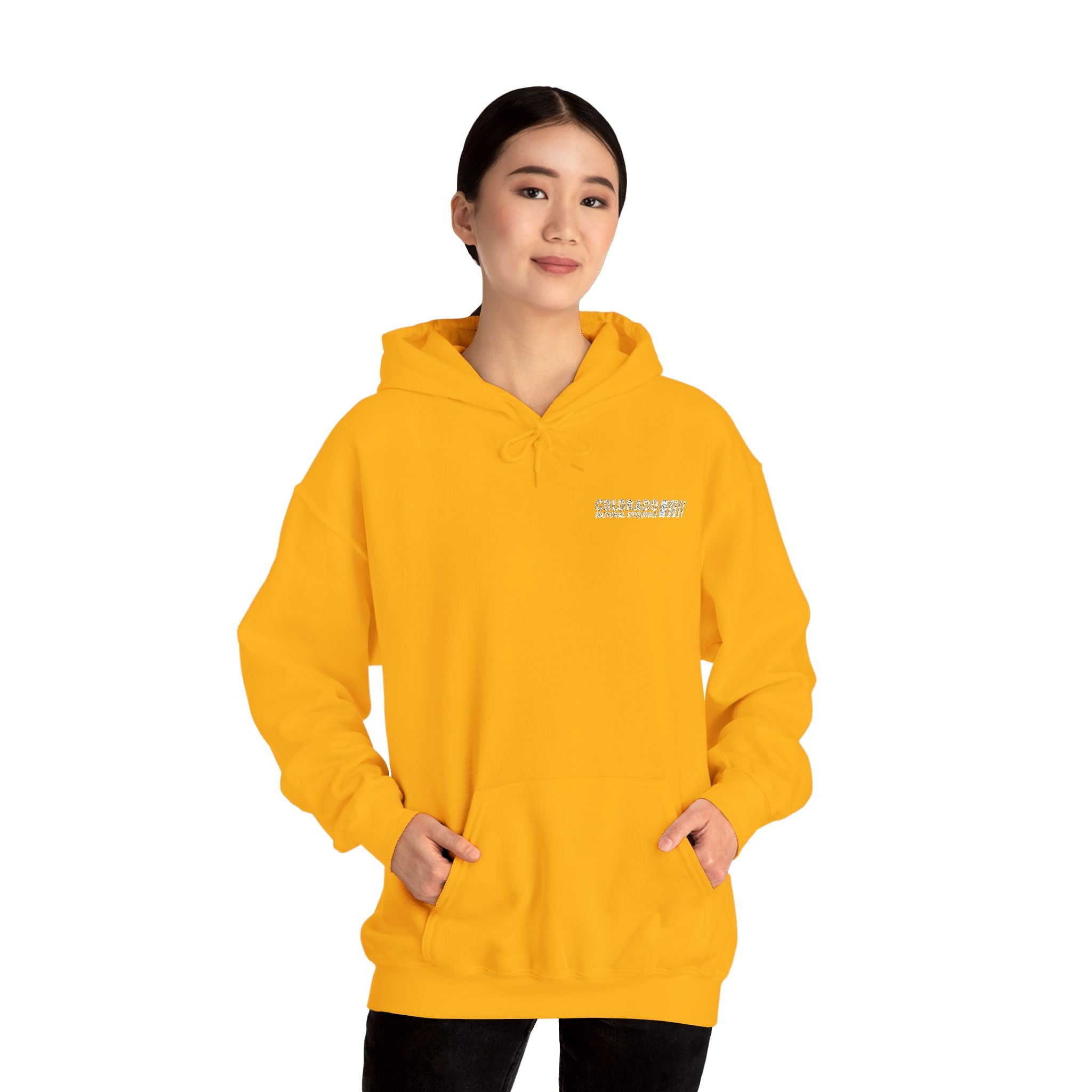 Embroidered Hoodie Unisex | Colorado National Speedway