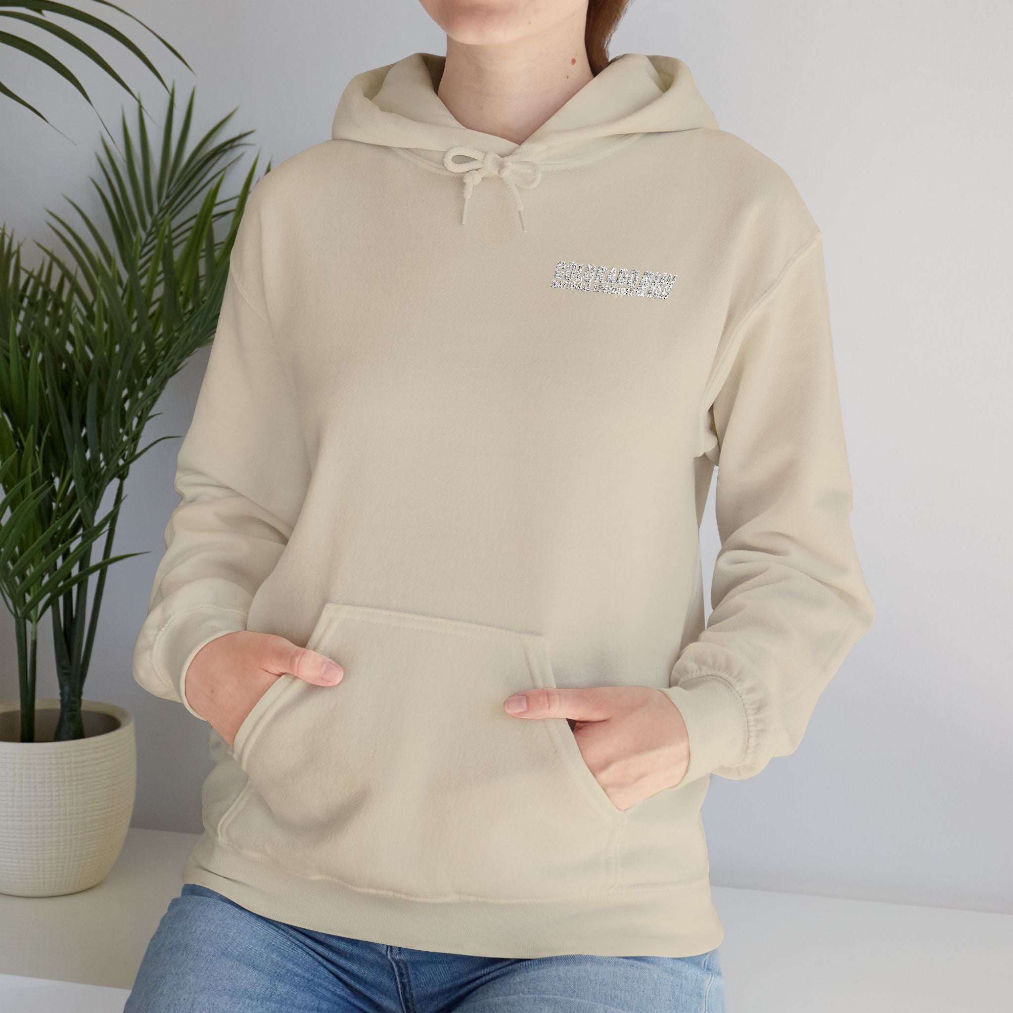 Embroidered Hoodie Unisex | Colorado National Speedway