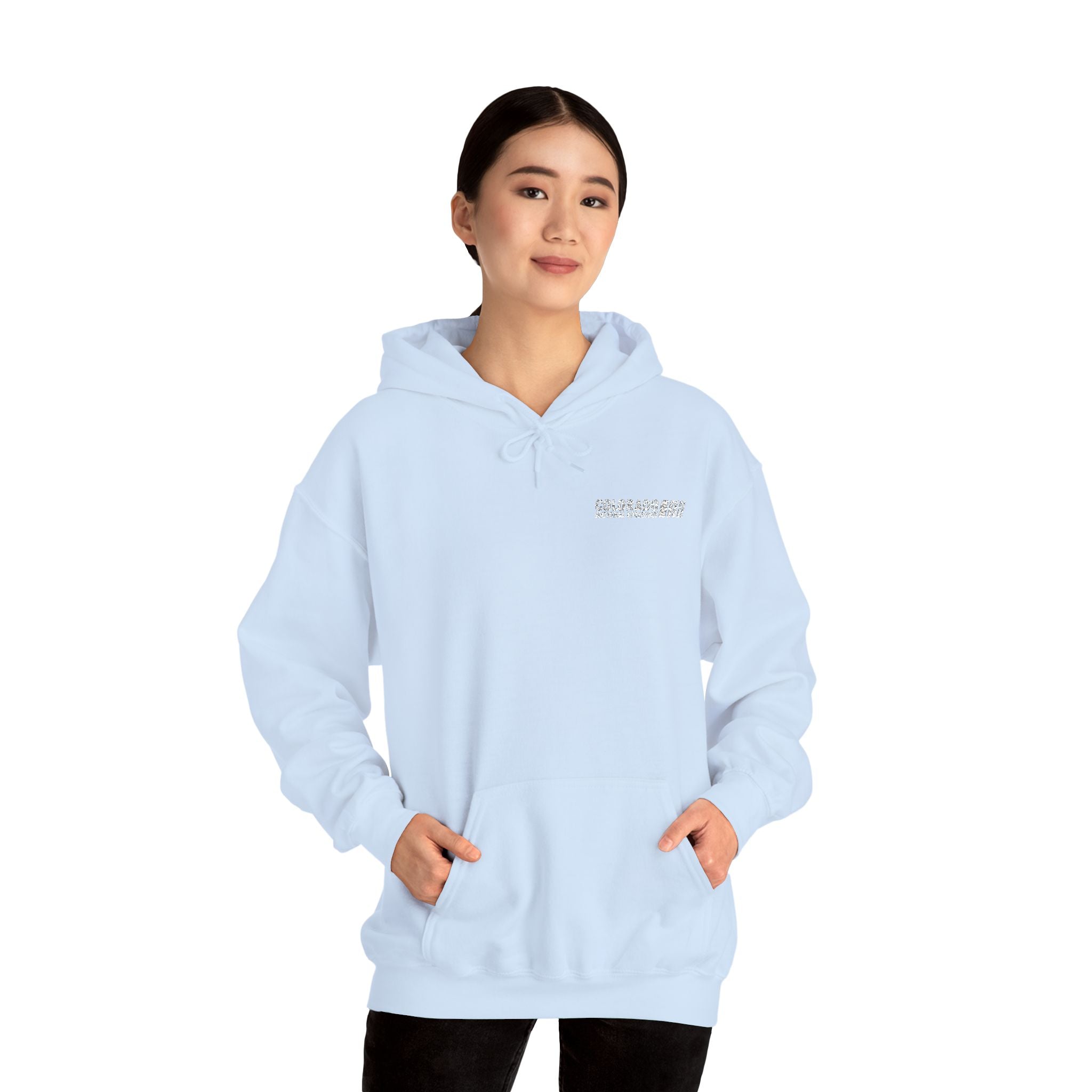 Embroidered Hoodie Unisex | Colorado National Speedway