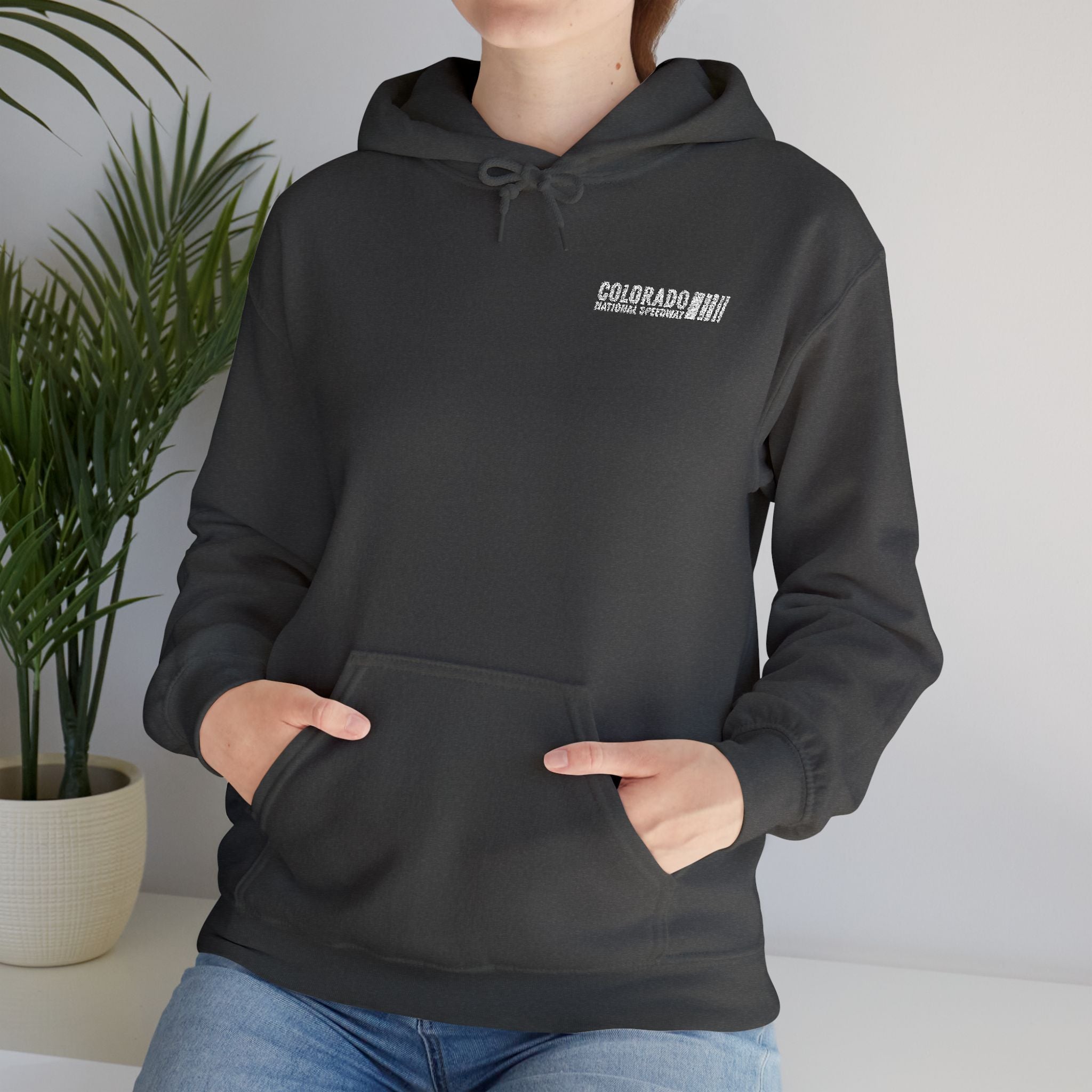 Embroidered Hoodie Unisex | Colorado National Speedway