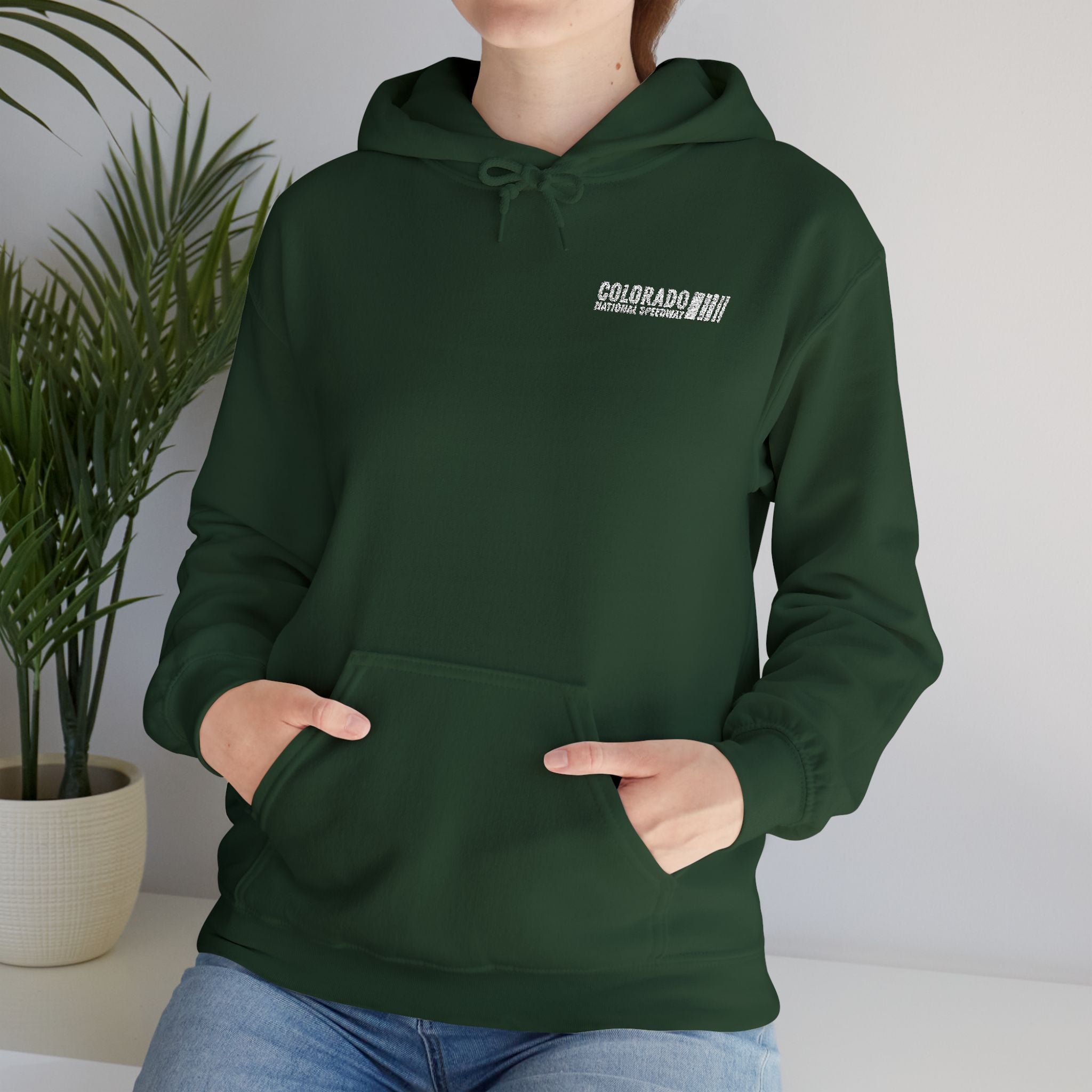 Embroidered Hoodie Unisex | Colorado National Speedway