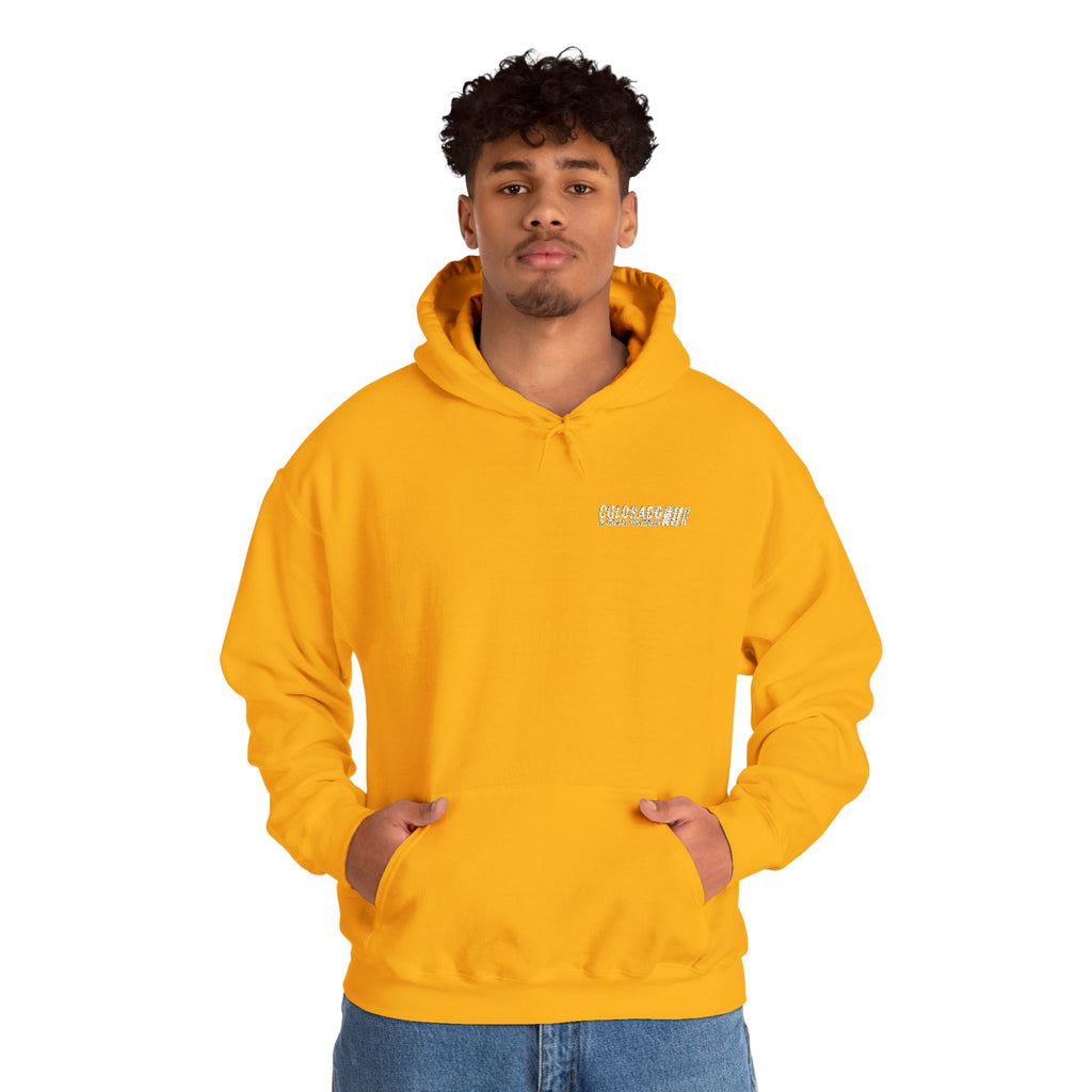 Embroidered Hoodie Unisex | Colorado National Speedway