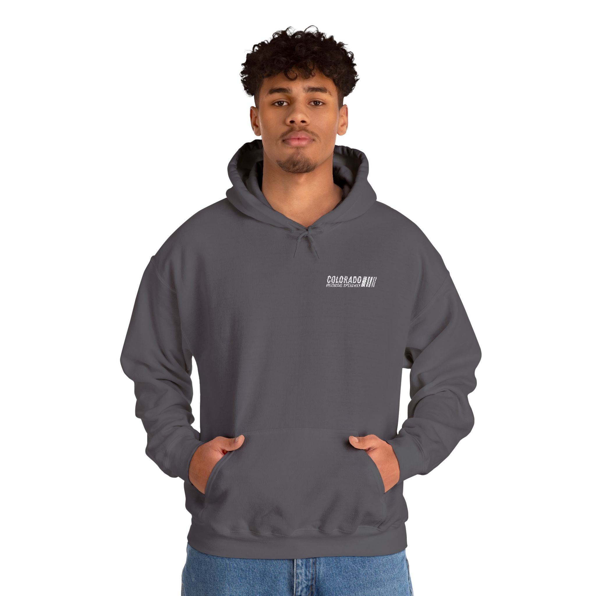 Embroidered Hoodie Unisex | Colorado National Speedway