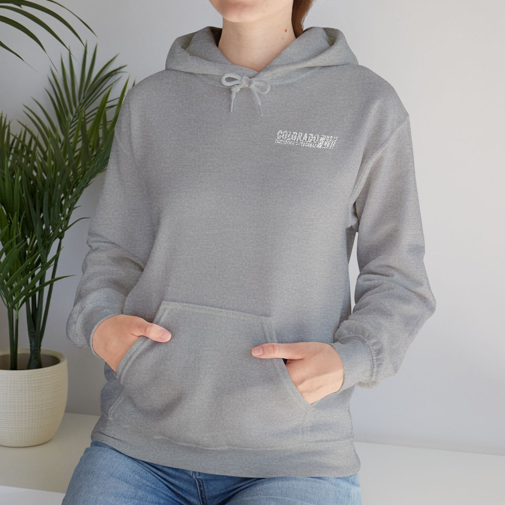Embroidered Hoodie Unisex | Colorado National Speedway