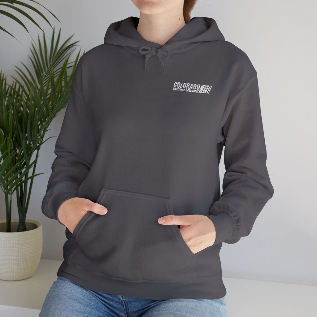 Embroidered Hoodie Unisex | Colorado National Speedway