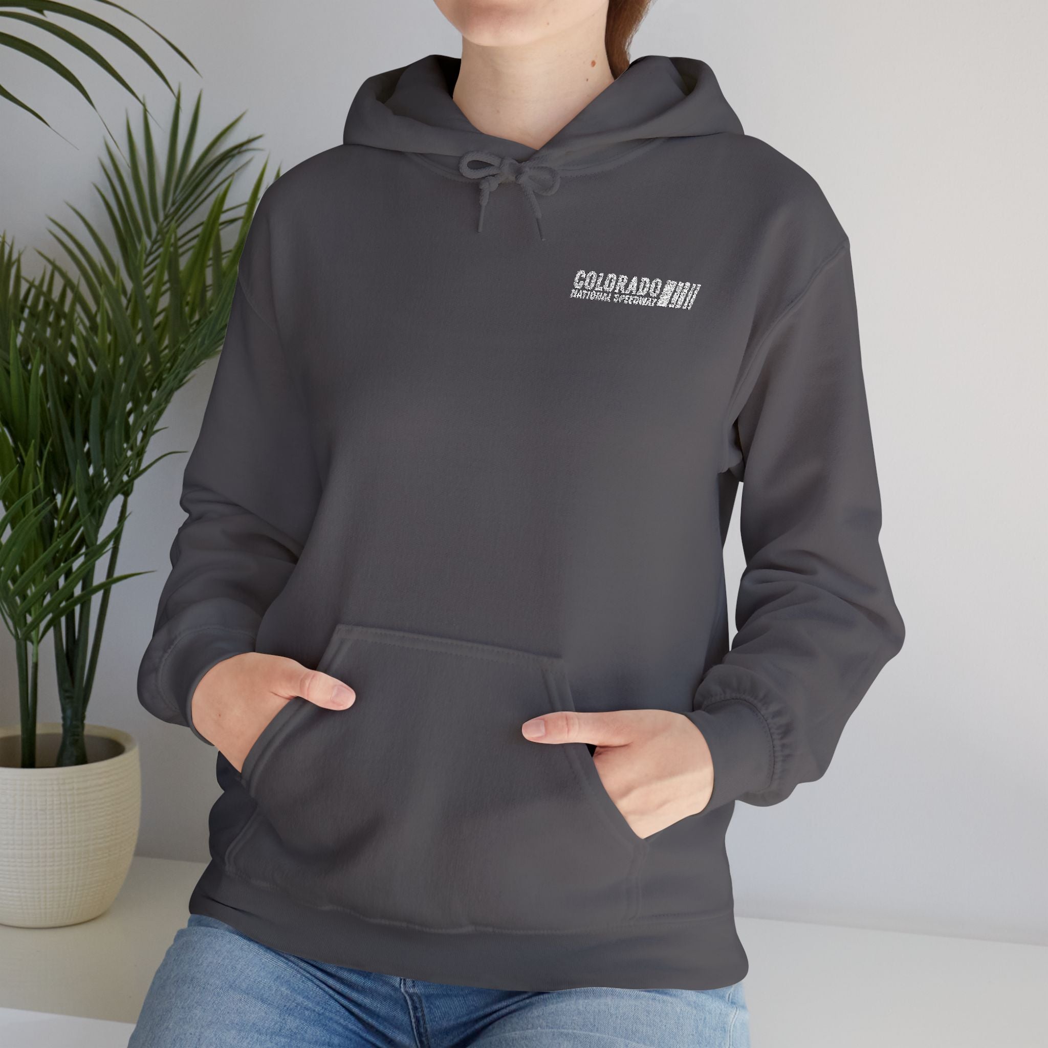 Embroidered Hoodie Unisex | Colorado National Speedway