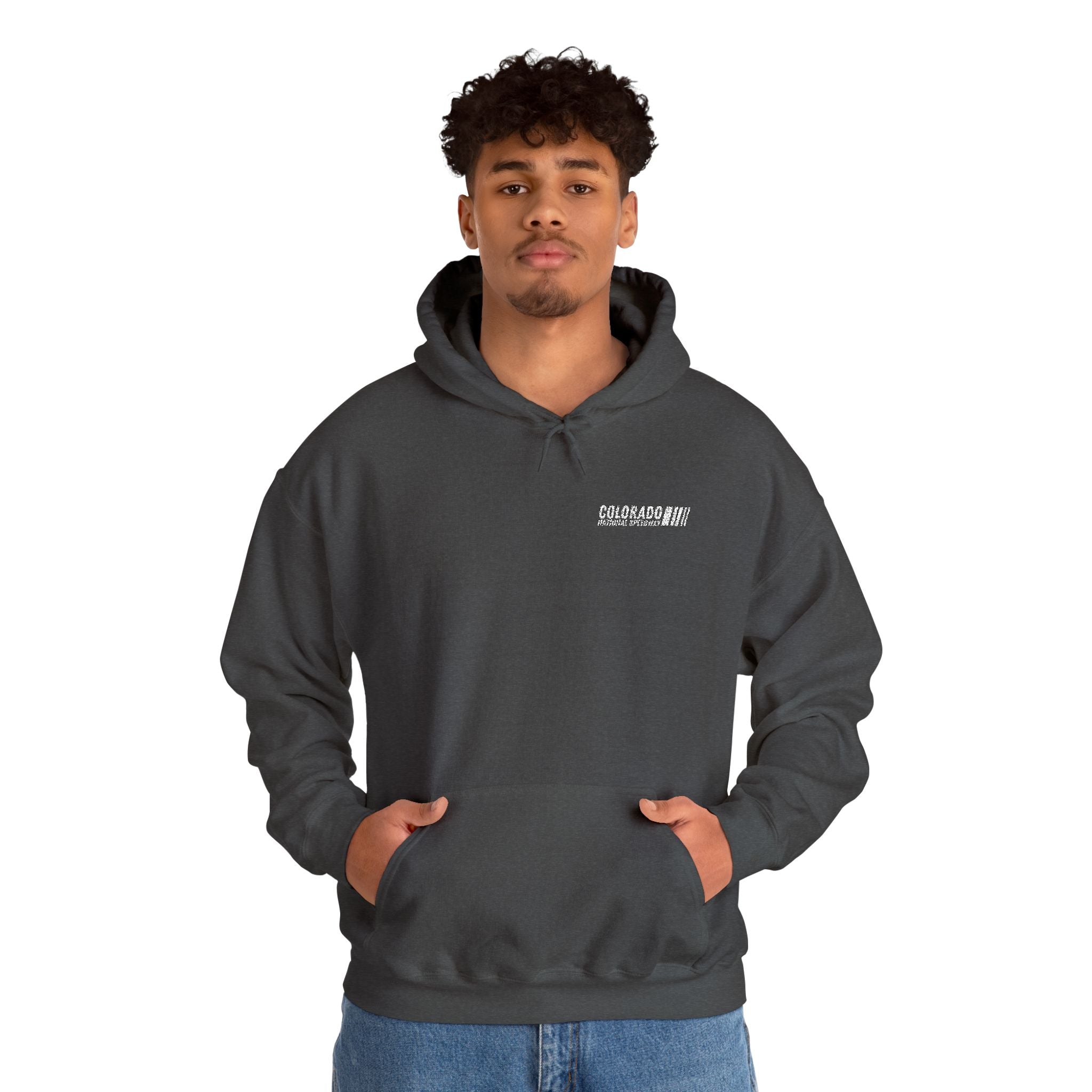 Embroidered Hoodie Unisex | Colorado National Speedway