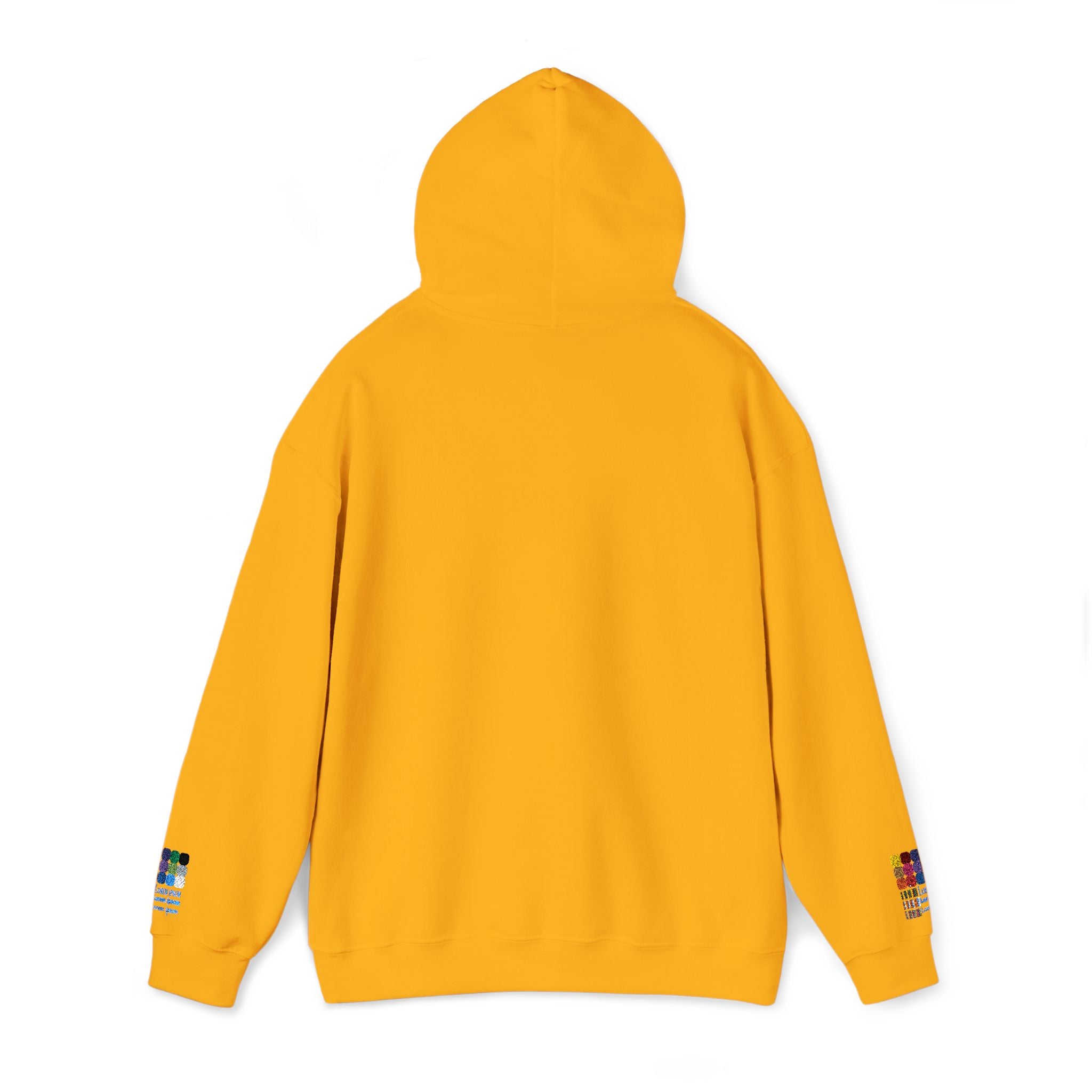Embroidered Hoodie Unisex | Colorado National Speedway