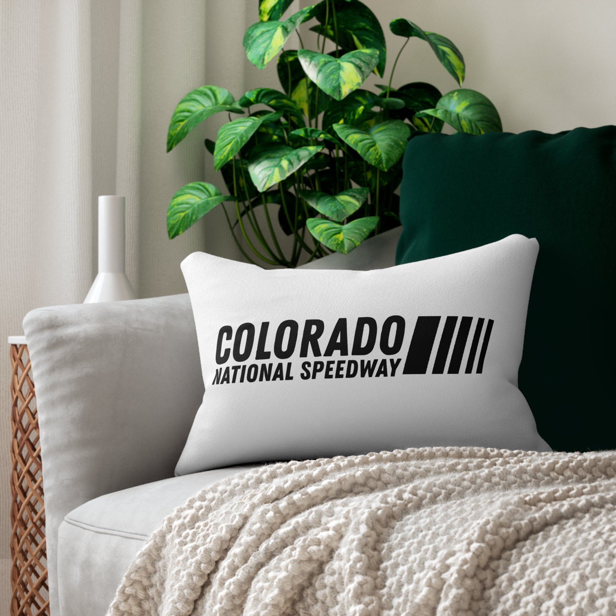 Throw Pillow | Colorado National Speedway