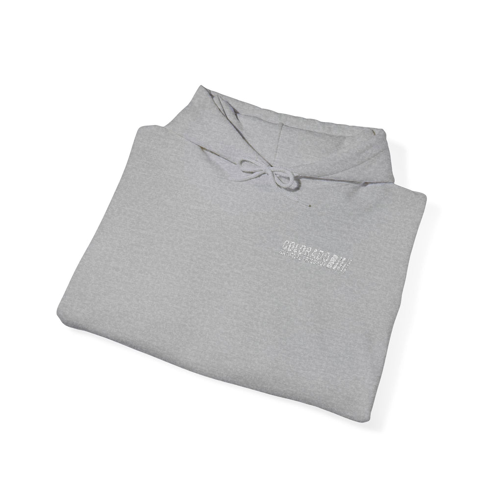 Embroidered Hoodie Unisex | Colorado National Speedway