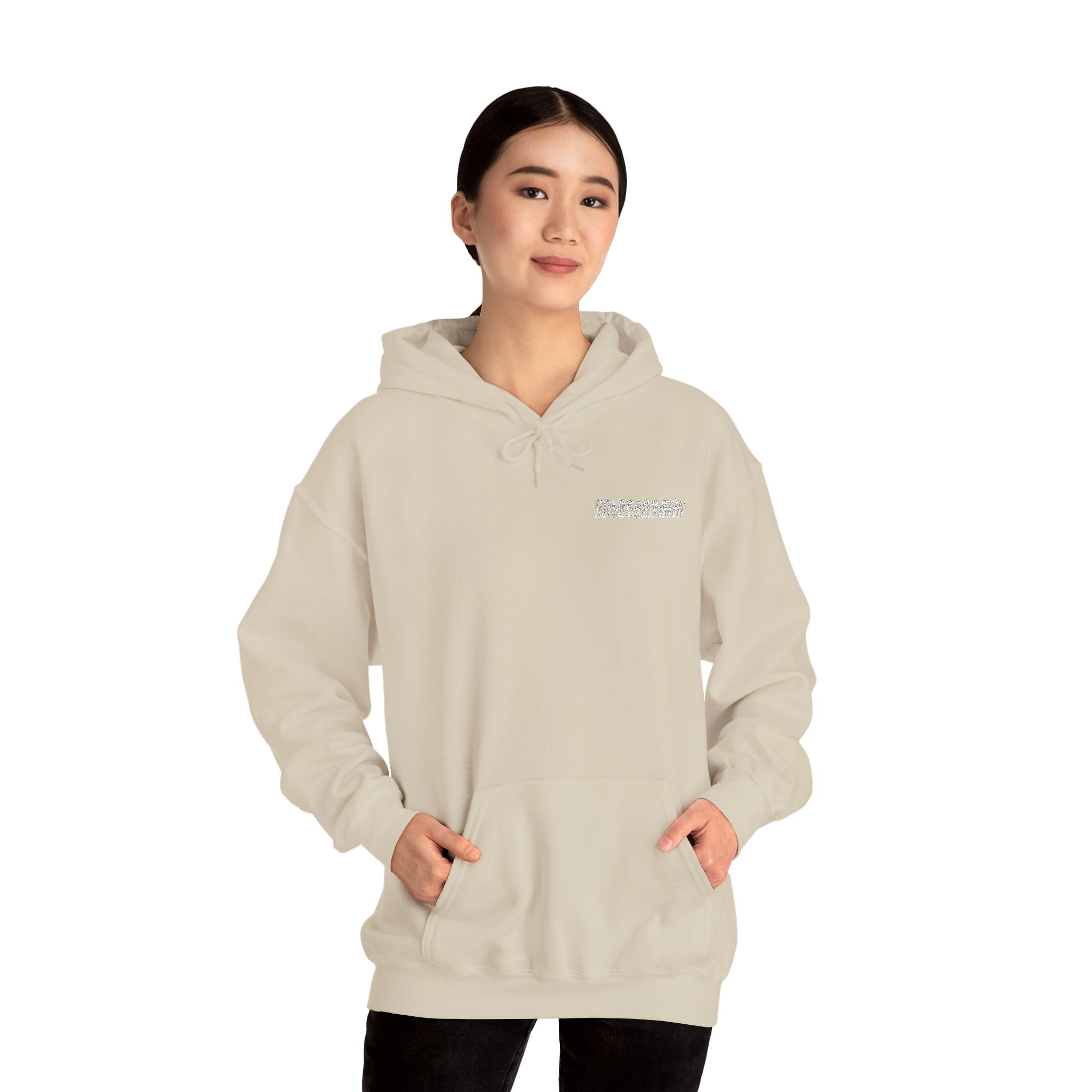 Embroidered Hoodie Unisex | Colorado National Speedway
