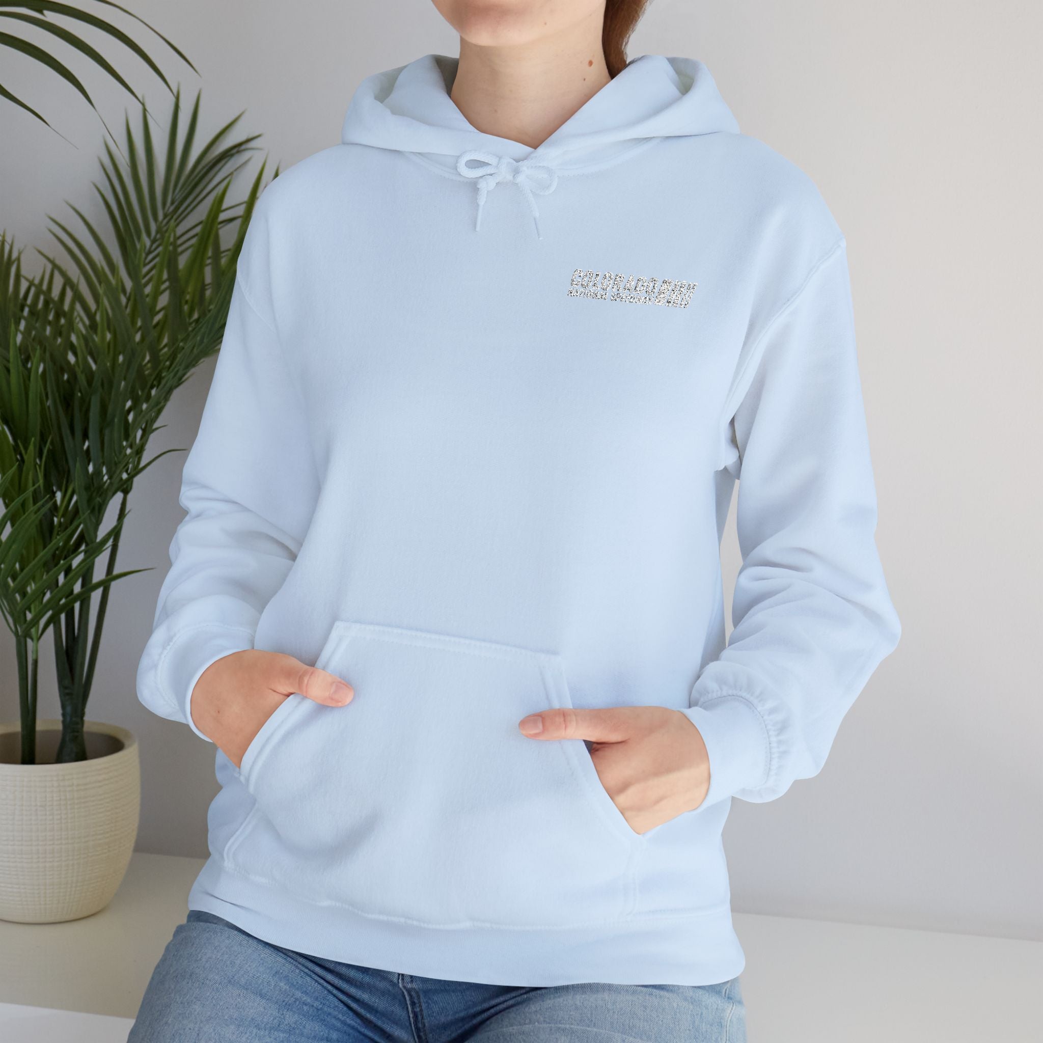 Embroidered Hoodie Unisex | Colorado National Speedway